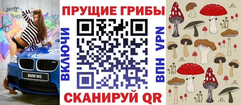 купить закладку  Балей  Псилоцибиновые грибы MAGIC MUSHROOMS 